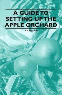 bokomslag A Guide to Setting Up the Apple Orchard