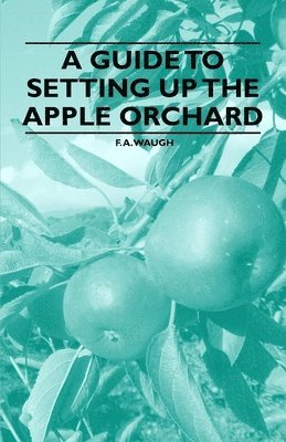 A Guide to Setting Up the Apple Orchard 1