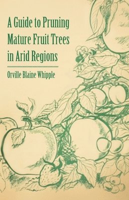 A Guide to Pruning Mature Fruit Trees in Arid Regions 1