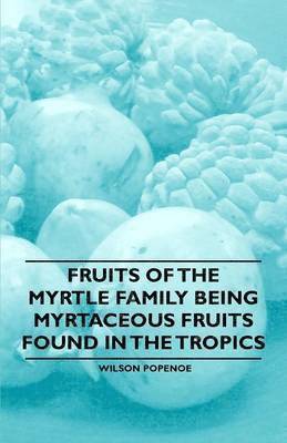 Fruits of the Myrtle Family Being Myrtaceous Fruits Found in the Tropics 1