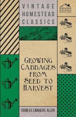 Growing Cabbages from Seed to Harvest 1