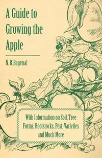 bokomslag A Guide to Growing the Apple with Information on Soil, Tree Forms, Rootstocks, Pest, Varieties and Much More