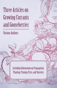 bokomslag Three Articles on Growing Currants and Gooseberries - Including Information on Propagation, Planting, Pruning, Pests, Varieties