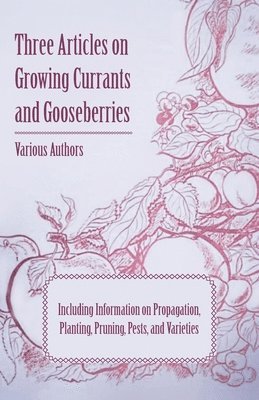 Three Articles on Growing Currants and Gooseberries - Including Information on Propagation, Planting, Pruning, Pests, Varieties 1