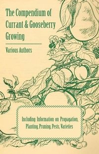 bokomslag The Compendium of Currant and Gooseberry Growing - Including Information on Propagation, Planting, Pruning, Pests, Varieties