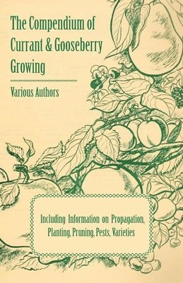 The Compendium of Currant and Gooseberry Growing - Including Information on Propagation, Planting, Pruning, Pests, Varieties 1