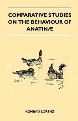 Konrad Lorenz - Comparative Studies on the Behaviour of Anatina, Häftad