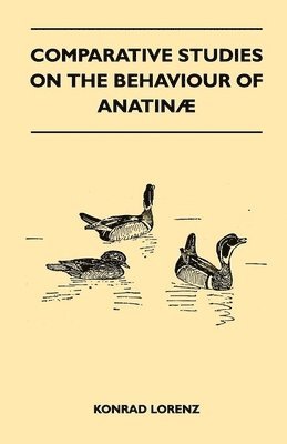 Comparative Studies on the Behaviour of Anatina 1