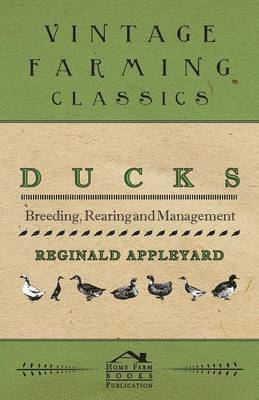 bokomslag Ducks - Breeding, Rearing and Management