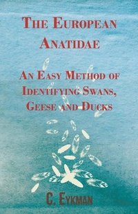 bokomslag The European Anatidae - An Easy Method of Identifying Swans, Geese and Ducks