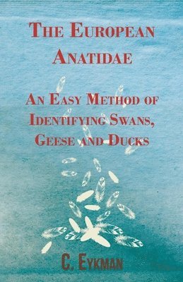The European Anatidae - An Easy Method of Identifying Swans, Geese and Ducks 1