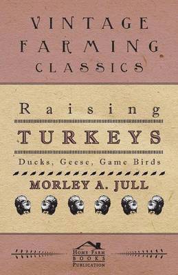 Raising Turkeys - Ducks, Geese, Game Birds 1