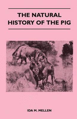 Natural History of the Pig