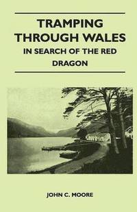 bokomslag Tramping Through Wales - In Search of the Red Dragon