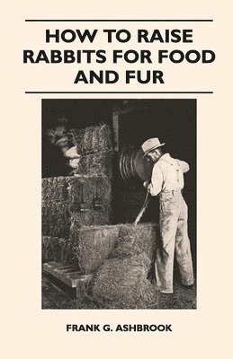 Frank Ashbrook, Frank G. Ashbrook - How to Raise Rabbits for Food and Fur, Häftad