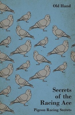 Old Hand - Secrets of the Racing Ace - Pigeon Racing Secrets, Häftad