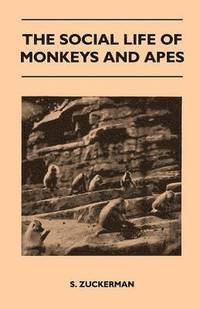 bokomslag The Social Life of Monkeys and Apes