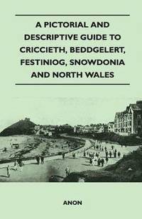 bokomslag A Pictorial and Descriptive Guide to Criccieth, Beddgelert, Festiniog, Snowdonia and North Wales