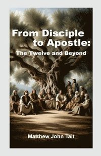 bokomslag From Disciple to Apostle