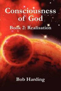 bokomslag Consciousness of God Book 2