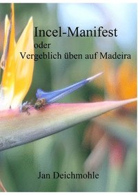 bokomslag Incel-Manifest