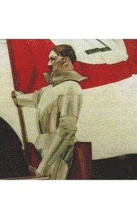 bokomslag Stern des Abgrundes: Das Medium Adolf Hitler im Lichte Sri Aurobindos und Der Mutter