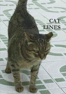 Cat Lines 1