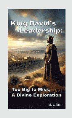 bokomslag King David's Leadership