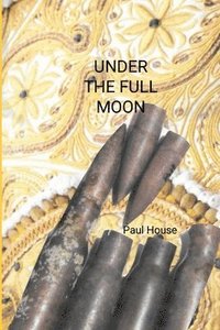 bokomslag Under The Full Moon