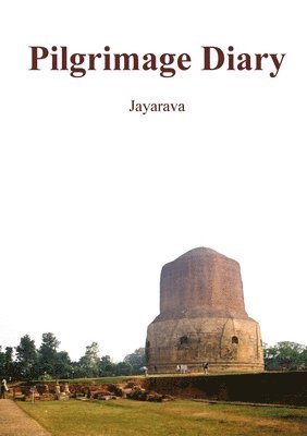 bokomslag Pilgrimage Diary