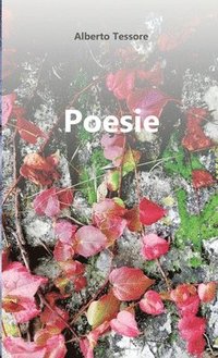 bokomslag Poesie