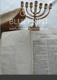 bokomslag God's BLUEPRINT