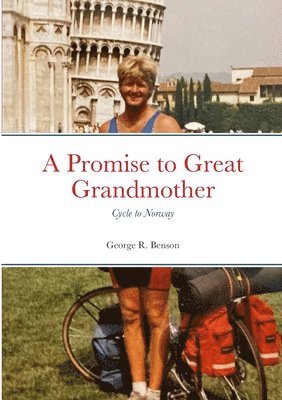 bokomslag Promise to Great Grandmother
