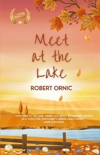 bokomslag Meet at the Lake