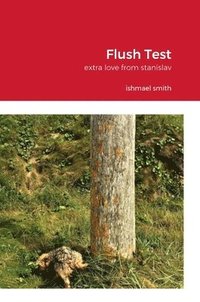 bokomslag Flush Test