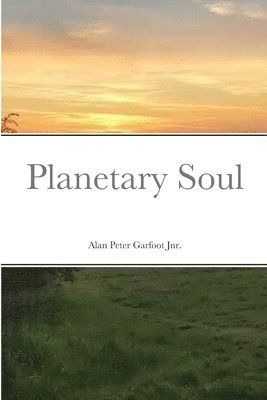 bokomslag Planetary Soul