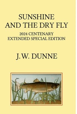 bokomslag Sunshine and the Dry Fly