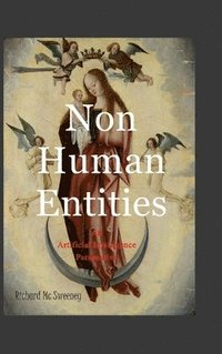 bokomslag Non Human Entities