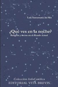 bokomslag 'Que Ves En La Noche?