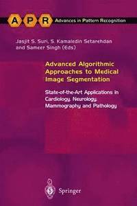 bokomslag Advanced Algorithmic Approaches to Medical Image Segmentation