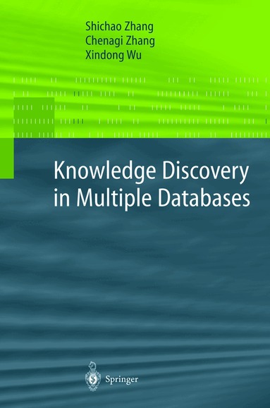 Shichao Zhang, Chengqi Zhang, Xindong Wu - Knowledge Discovery in Multiple Databases, Häftad