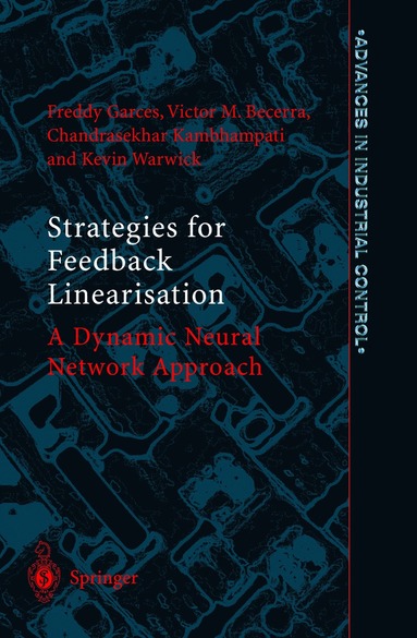 bokomslag Strategies for Feedback Linearisation