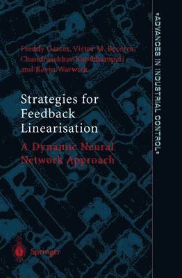 Strategies for Feedback Linearisation 1