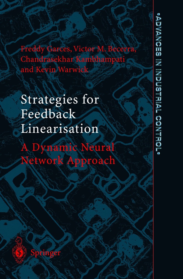 Strategies for Feedback Linearisation 1