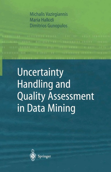 Michalis Vazirgiannis, Maria Halkidi, Dimitrious Gunopulos - Uncertainty Handling and Quality Assessment in Data Mining, Häftad