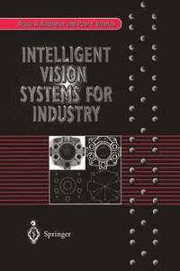 bokomslag Intelligent Vision Systems for Industry