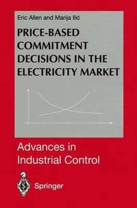 bokomslag Price-Based Commitment Decisions in the Electricity Market