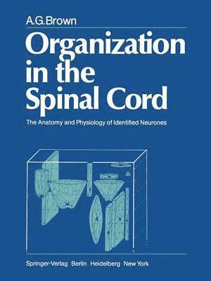 bokomslag Organization in the Spinal Cord