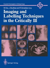 bokomslag Imaging and Labelling Techniques in the Critically Ill