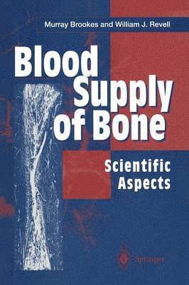 bokomslag Blood Supply of Bone